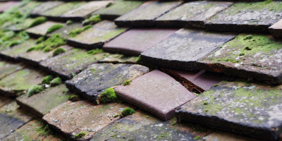 Pentre Berw roof repair costs